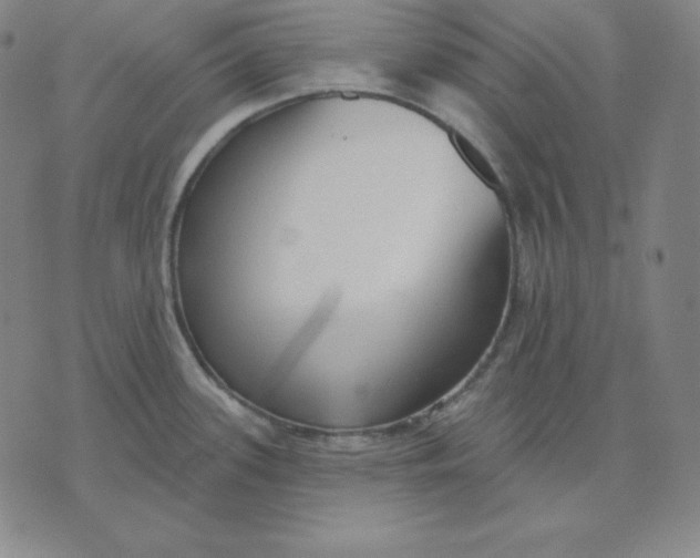 X0000071911339200607281819