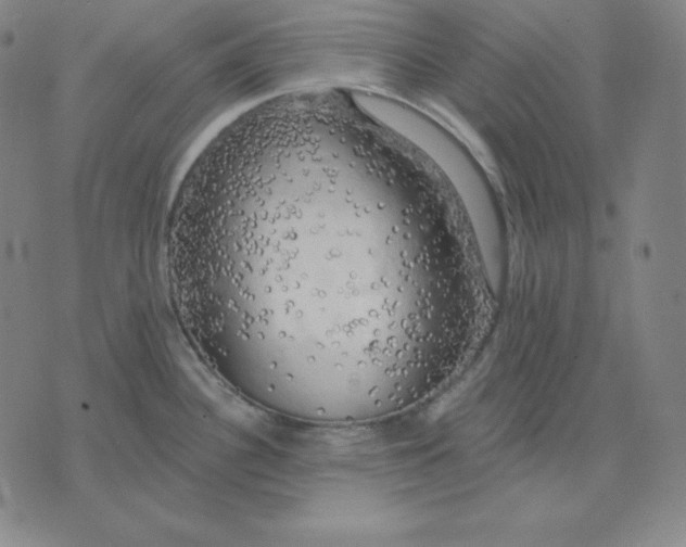 X0000071911340200607281819