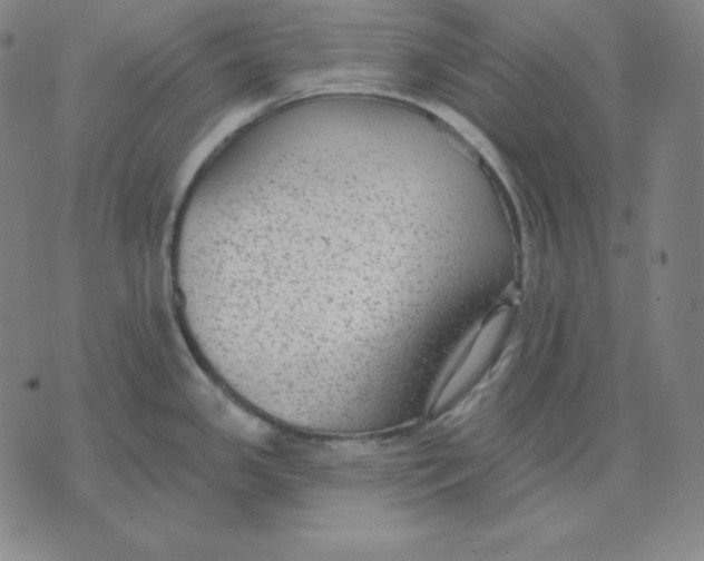 X0000071911341200607281819