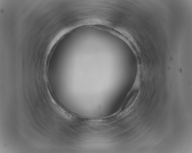 X0000071911342200607281819