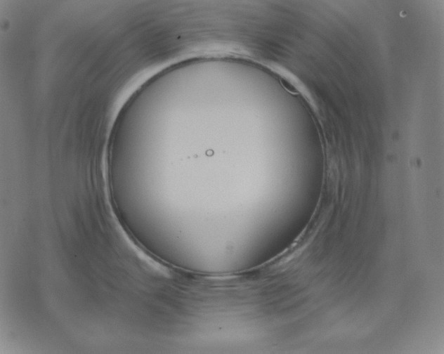 X0000071911343200607281819