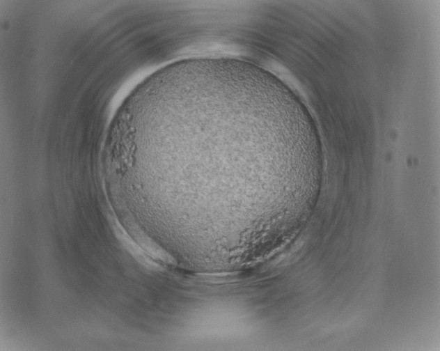 X0000071911344200607281819