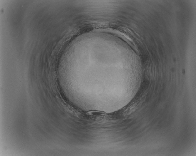 X0000071911345200607281818