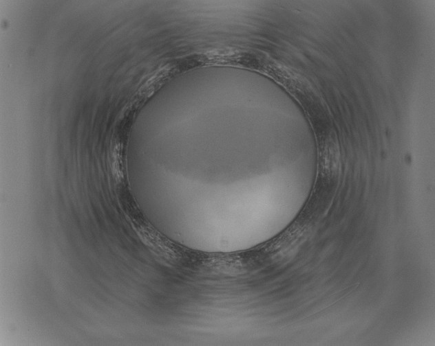 X0000071911346200607281818