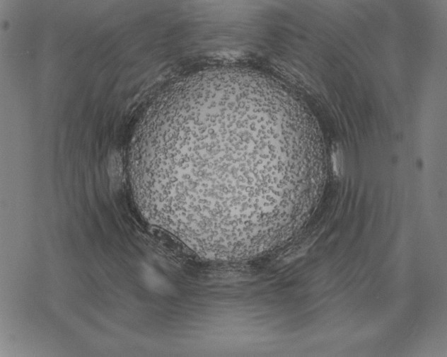 X0000071911347200607281818