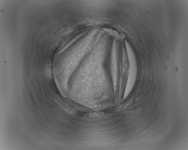 X0000071911348200607281818