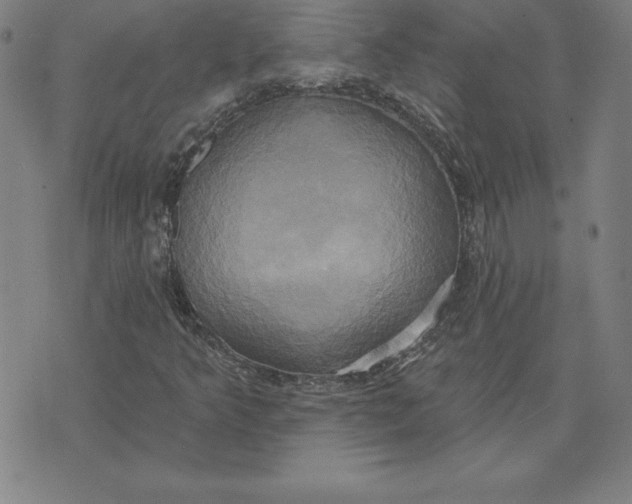 X0000071911349200607281818