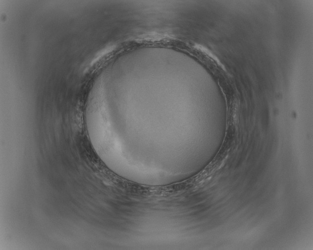 X0000071911350200607281818