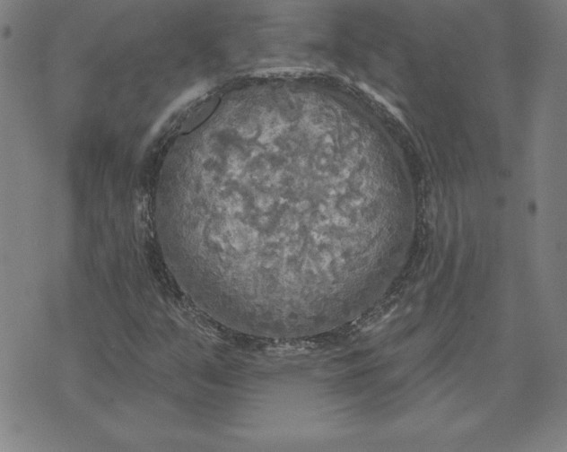 X0000071911351200607281818