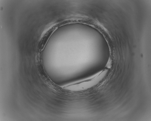 X0000071911352200607281818