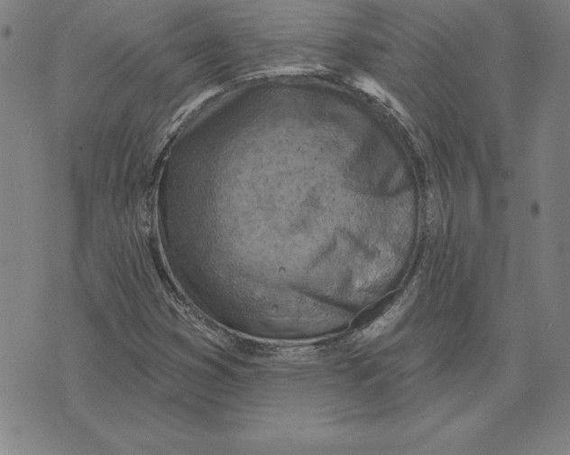 X0000071911353200607281818