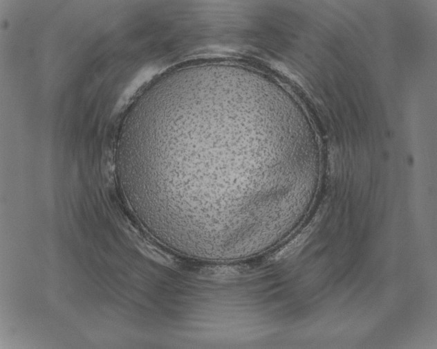 X0000071911355200607281818