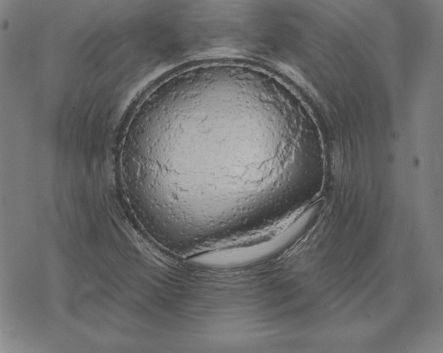 X0000071911356200607281818