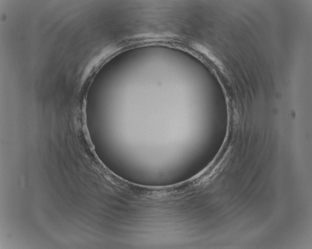 X0000071911357200607281818