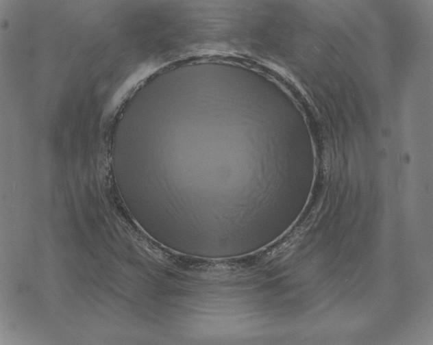 X0000071911359200607281818