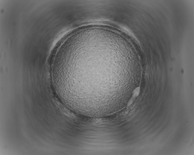 X0000071911360200607281818