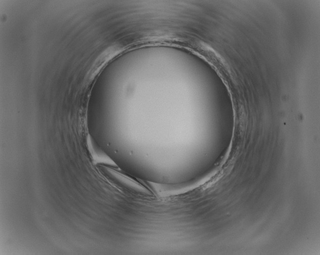 X0000071911361200607281818