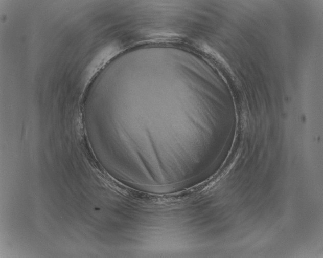 X0000071911362200607281818