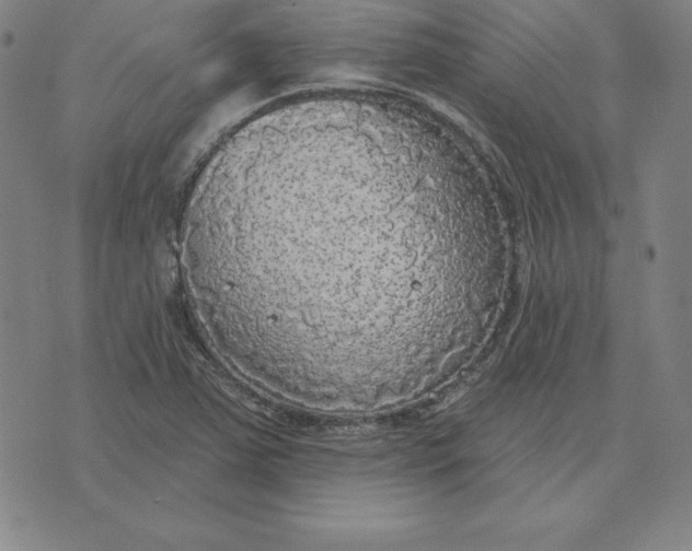 X0000071911363200607281818