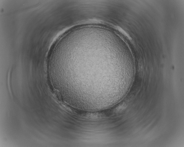 X0000071911364200607281818