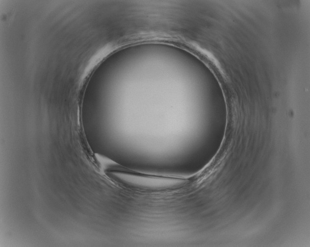 X0000071911365200607281818