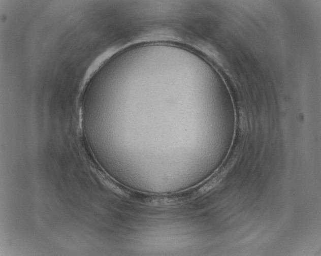 X0000071911366200607281818