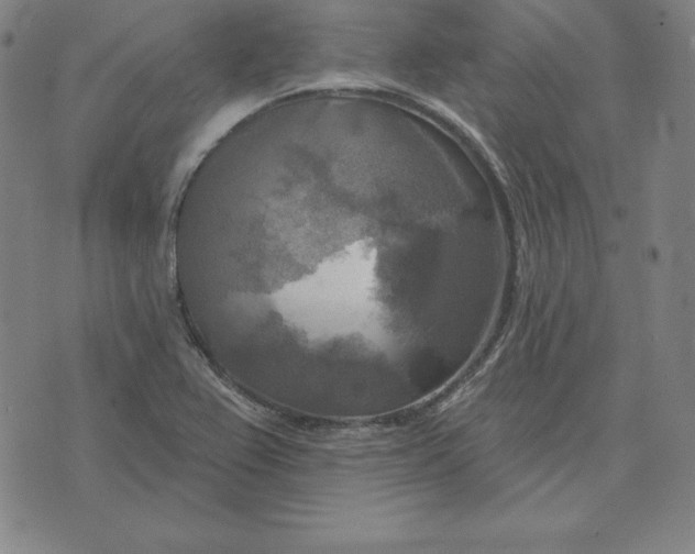 X0000071911367200607281818