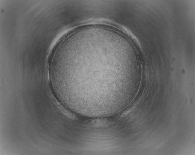 X0000071911368200607281818