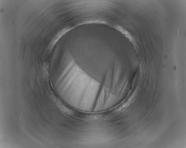 X0000071911369200607281818