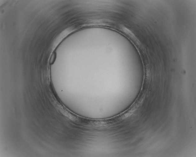 X0000071911370200607281818