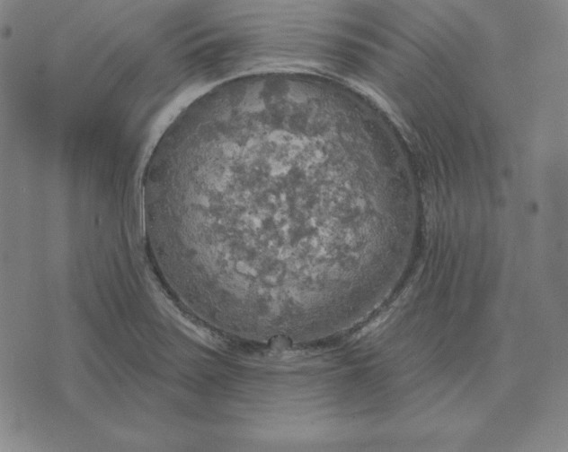 X0000071911371200607281818