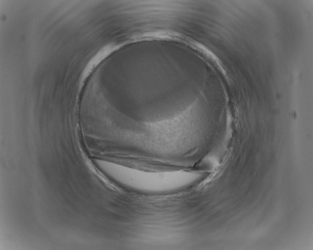 X0000071911373200607281818