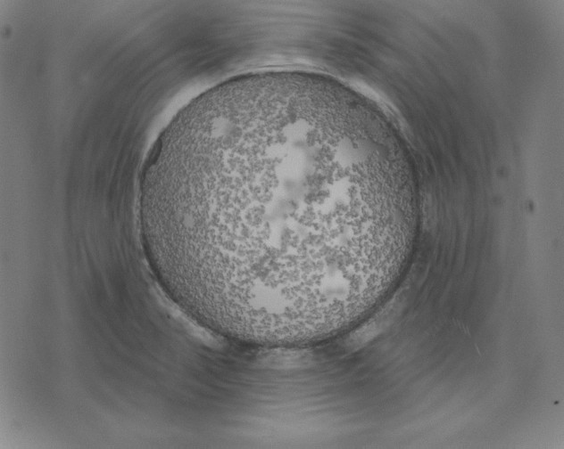 X0000071911374200607281818