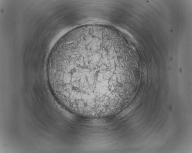 X0000071911375200607281818