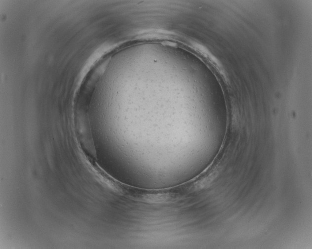 X0000071911376200607281818