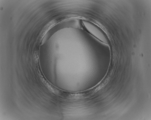 X0000071911377200607281817