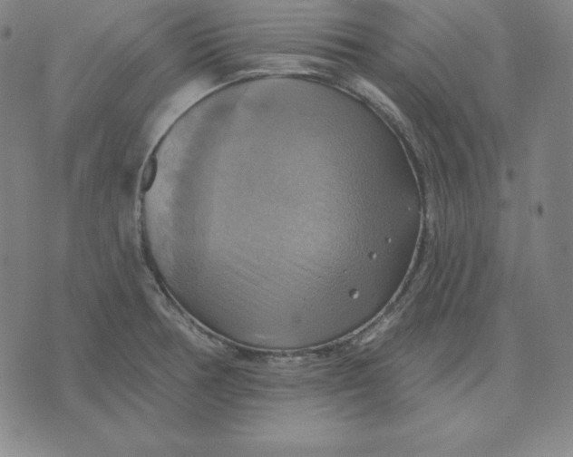 X0000071911378200607281817