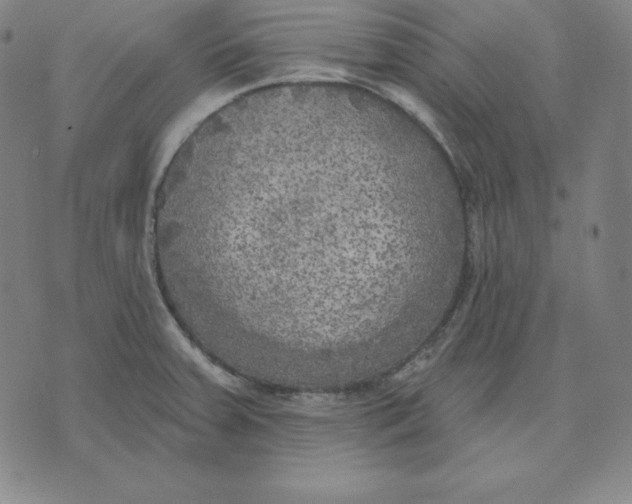 X0000071911379200607281817