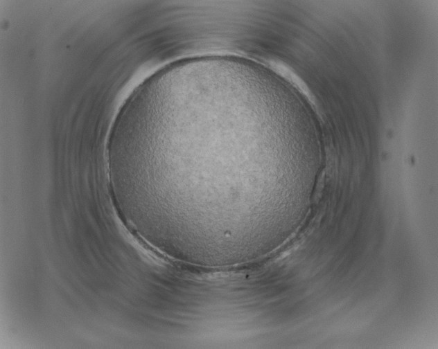 X0000071911380200607281817