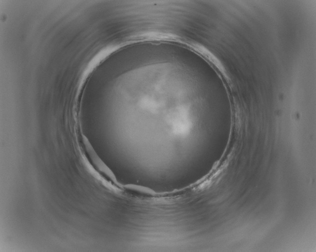 X0000071911381200607281817