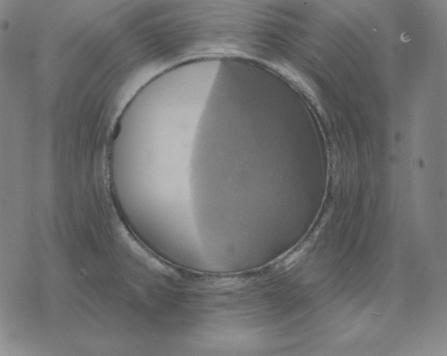 X0000071911382200607281817