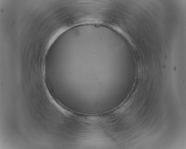 X0000071911383200607281817