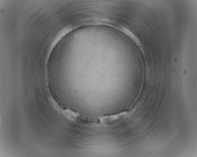 X0000071911384200607281817