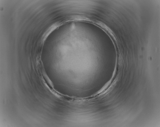 X0000071911385200607281817