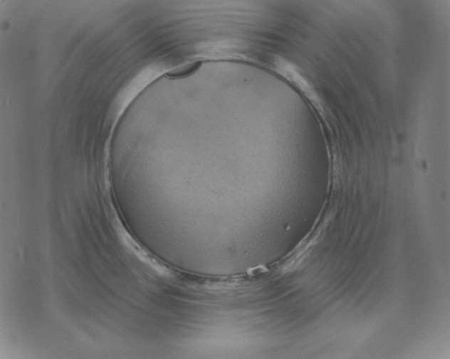 X0000071911386200607281817