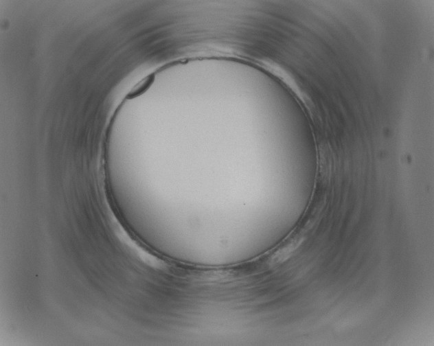 X0000071911387200607281817