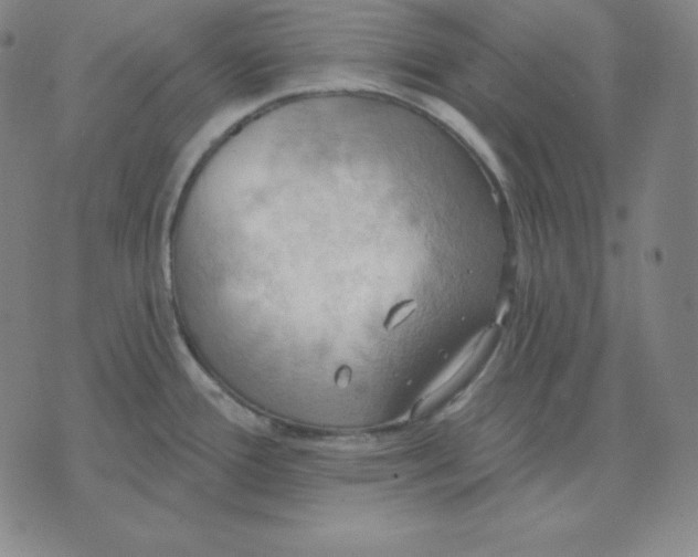 X0000071911388200607281817