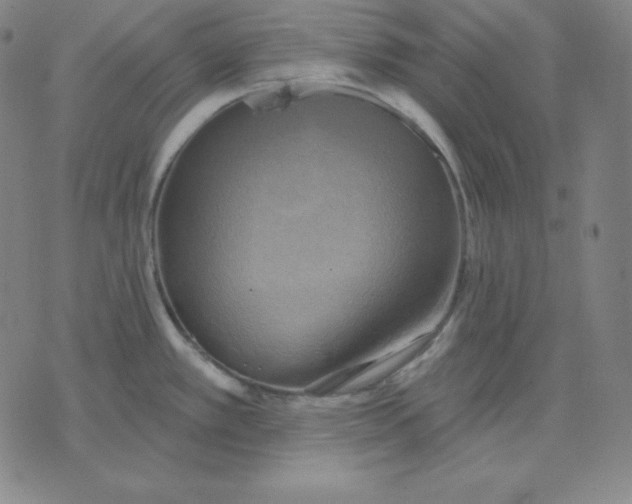 X0000071911389200607281817