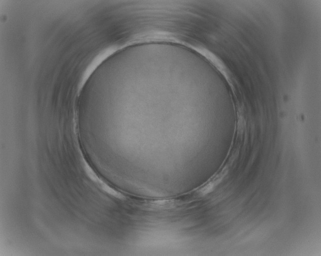 X0000071911390200607281817