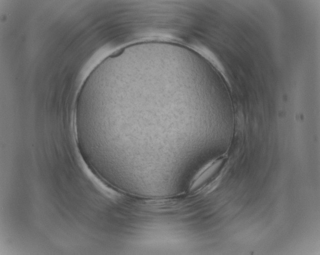 X0000071911391200607281817